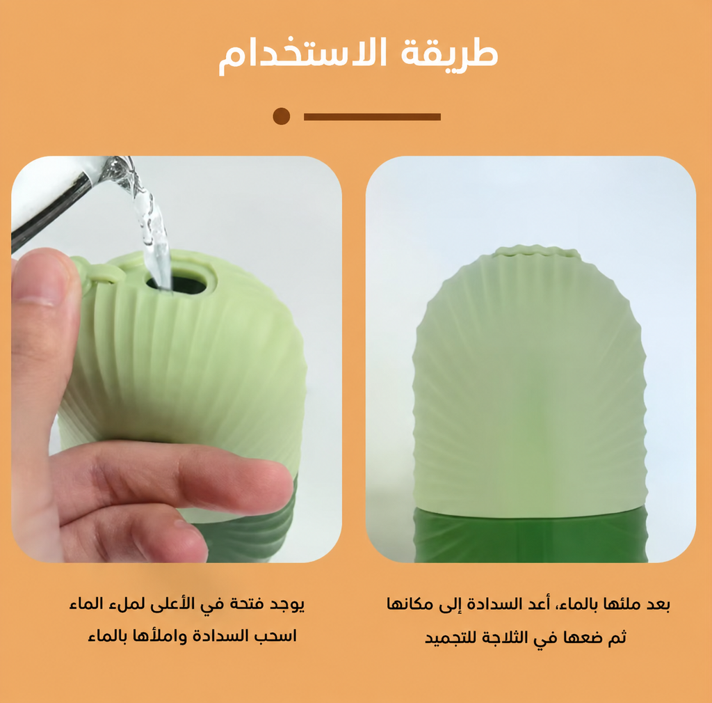 ICE ROLLER—بكرة الثلج للوجه